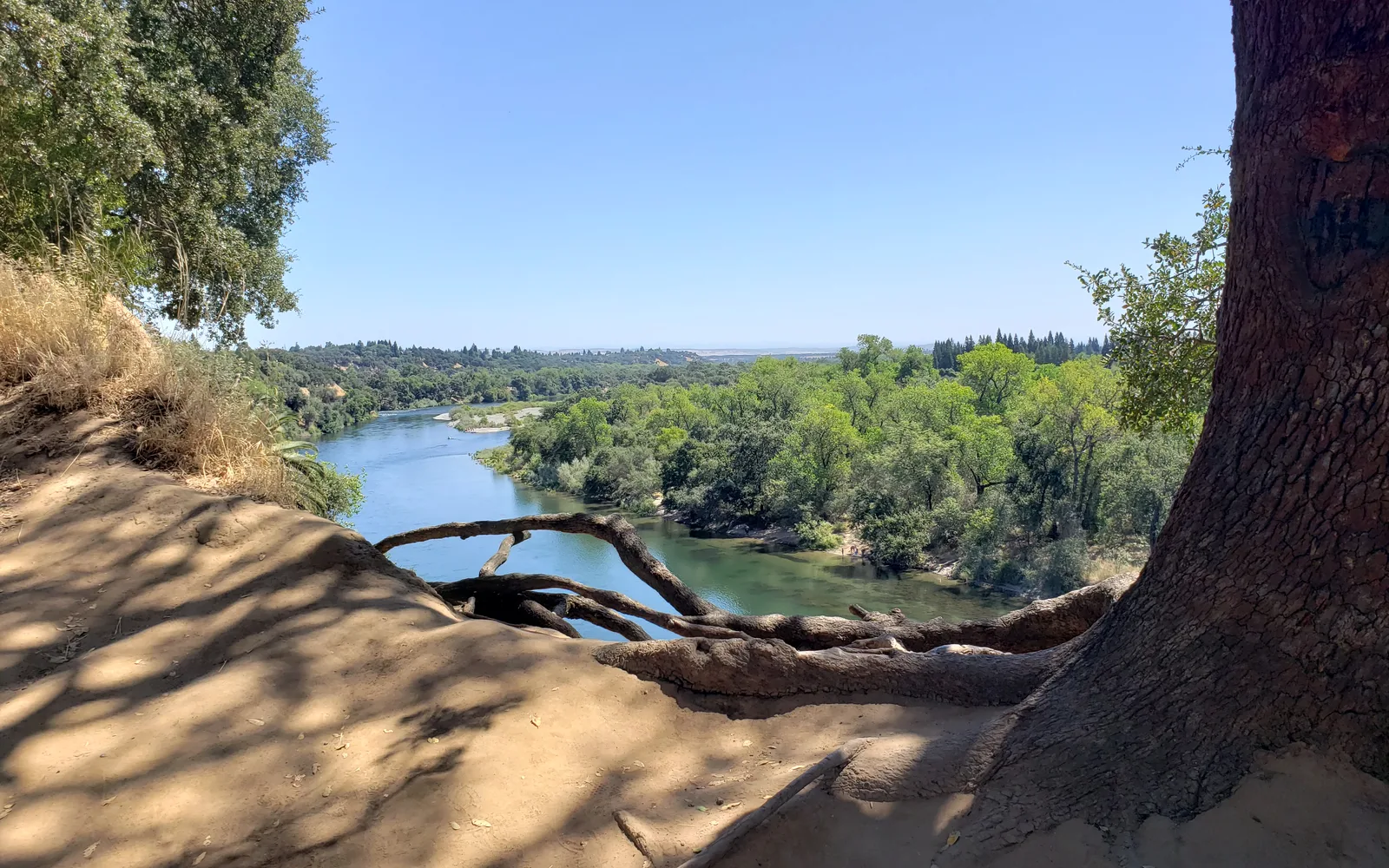 Fair Oaks Bluffs overlooking the American River, showing natural landscape, river features, and riparian vegetation in California